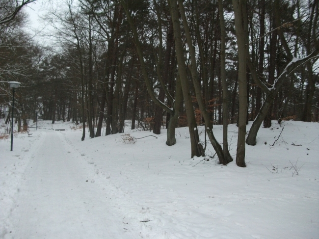 Winter 2010_18