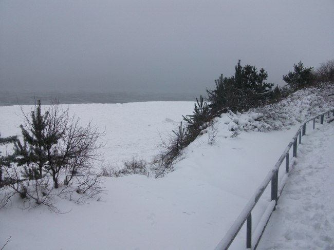 Winter 2011_1
