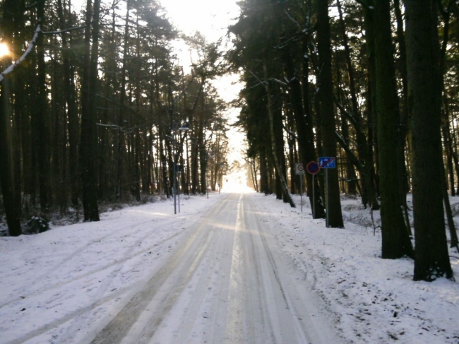 2013ZuU011_1