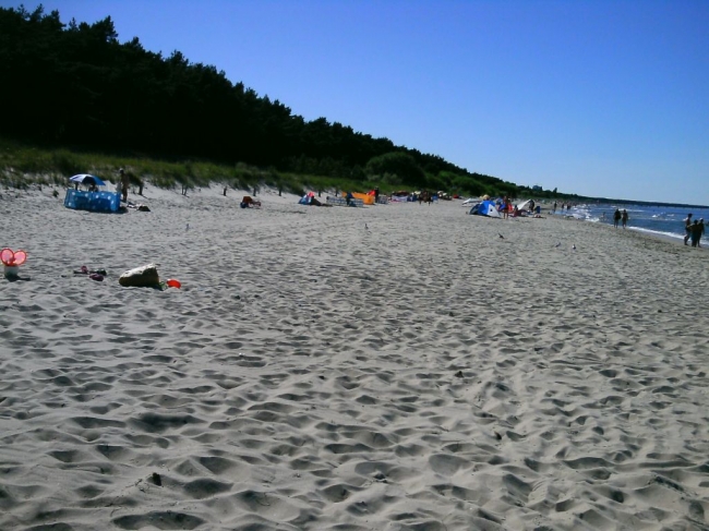 2013ZuU81_7