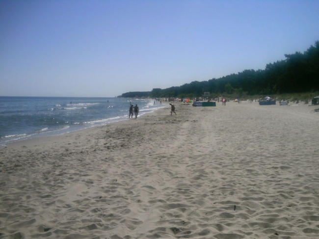 2013ZuU81_10