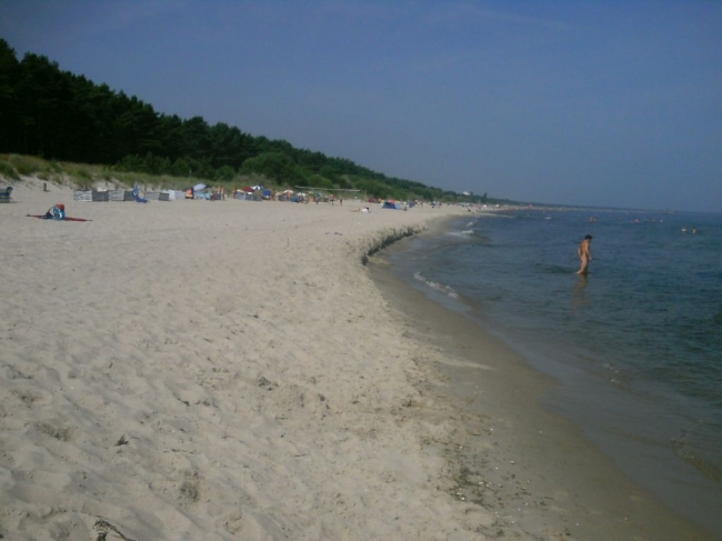 2013ZuU91_6