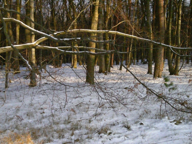 2014ZuU001_8