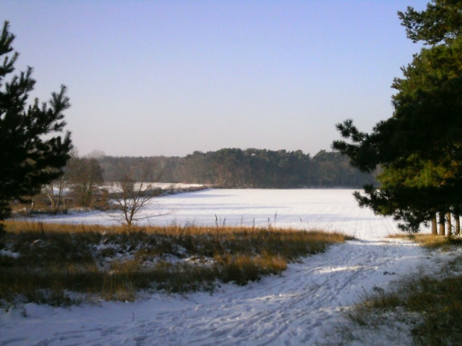 2014ZuU011_5