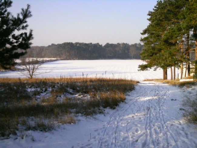 2014ZuU011_6