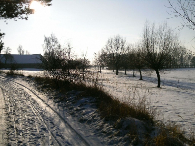 2014ZuU011_8