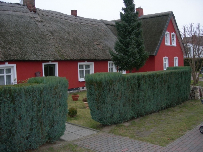 2007ZuU0_2