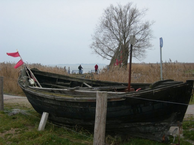 2007ZuU0_10