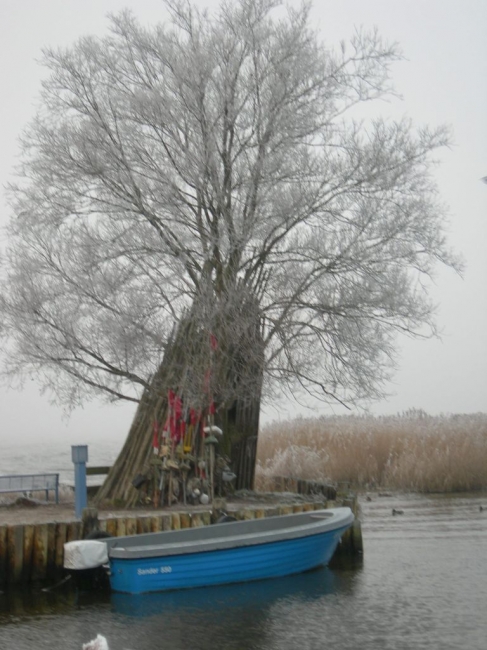 2007ZuU3_1