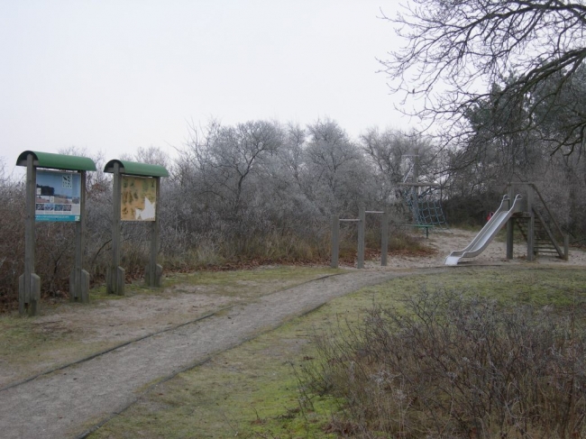 2007ZuU4_2