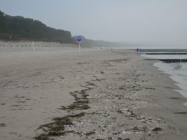 2007ZuU4_5