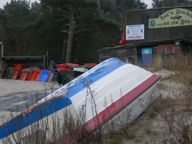 2007ZuU5_5