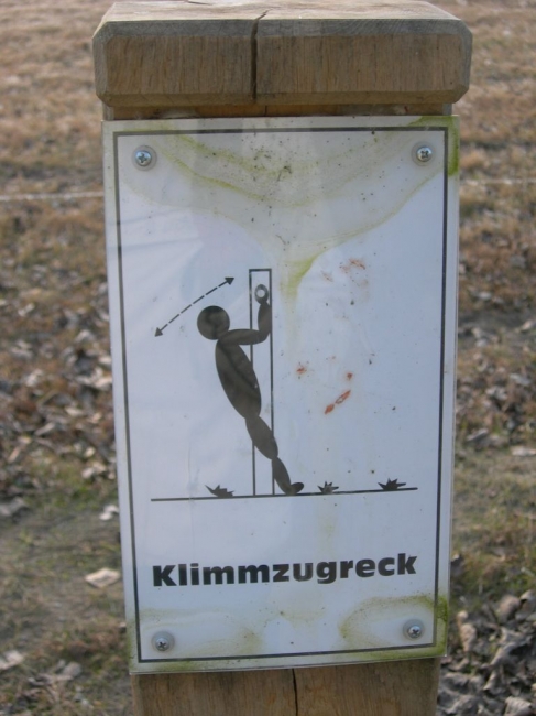 2007ZuU7_3