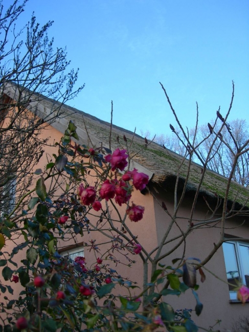 2007ZuU8_6