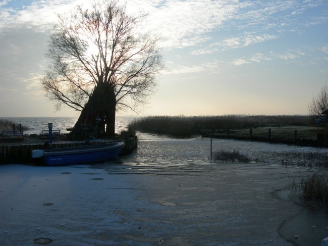 2007ZuU8_9