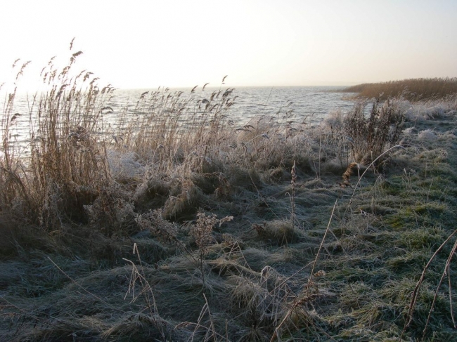 2007ZuU10_3