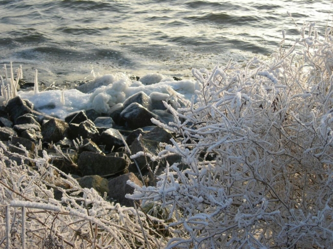 2007ZuU10_5