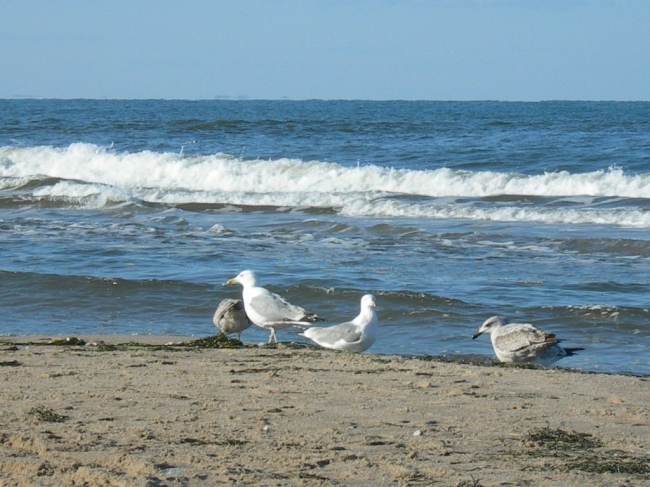 2008ZuU0_4