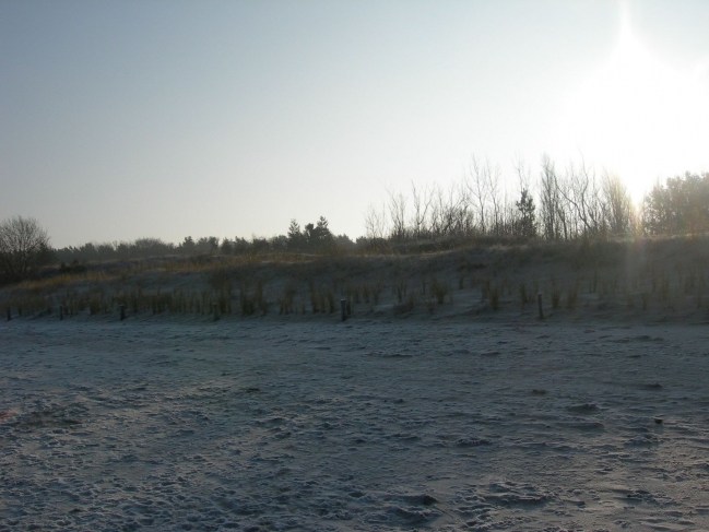 2008ZuU1_2