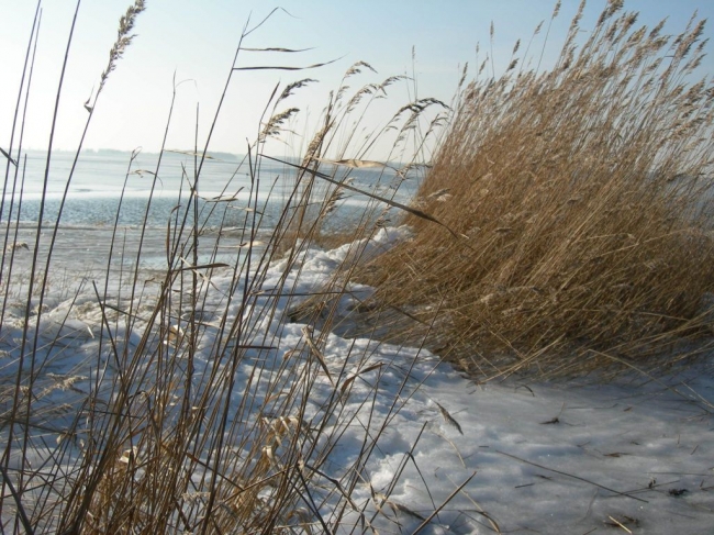 2008ZuU2_5